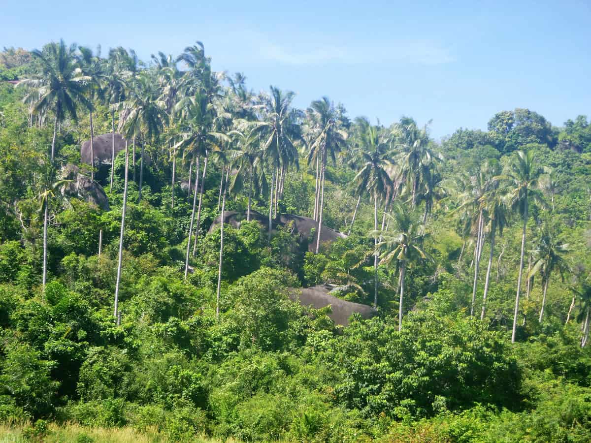 k-Kho Samui (16)