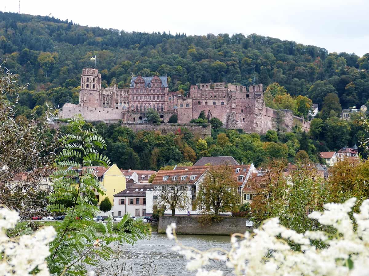 k-Heidelberg (8)