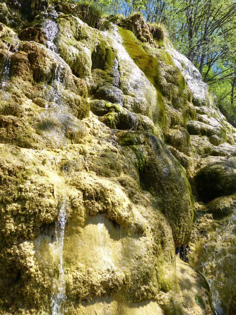 Quelltuff Lingenau Bregenzerwald