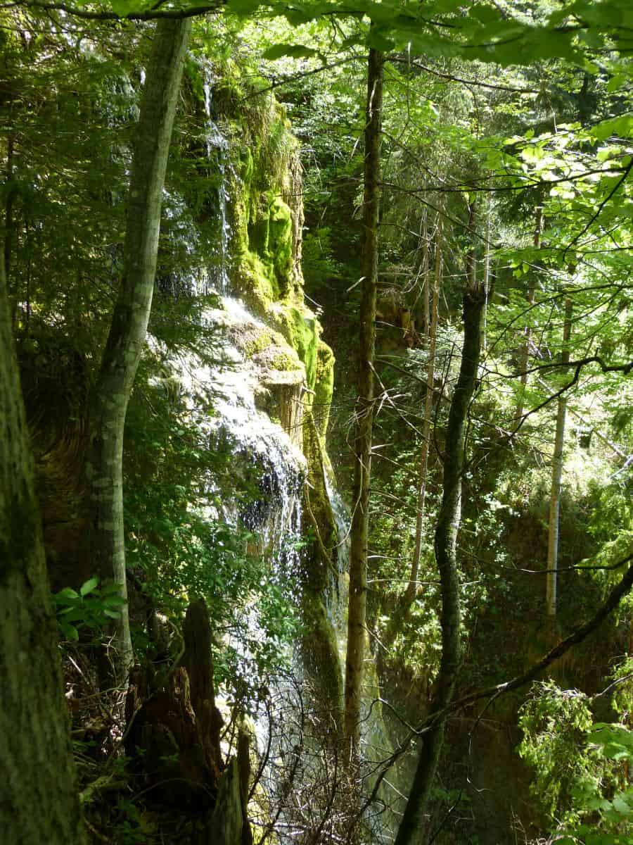 Quelltuff Lingenau Bregenzerwald