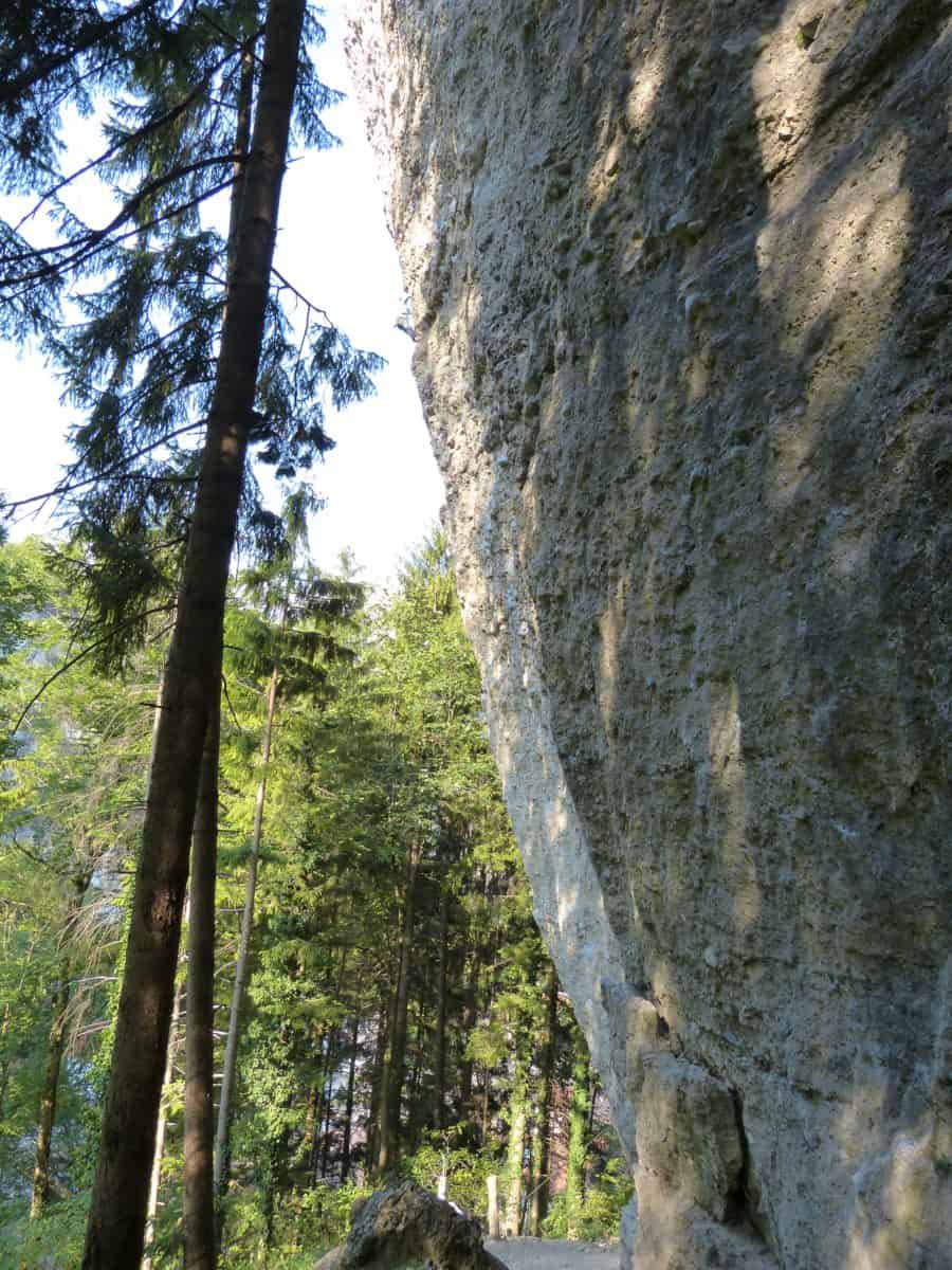 Klettern in der Bürser Schlucht