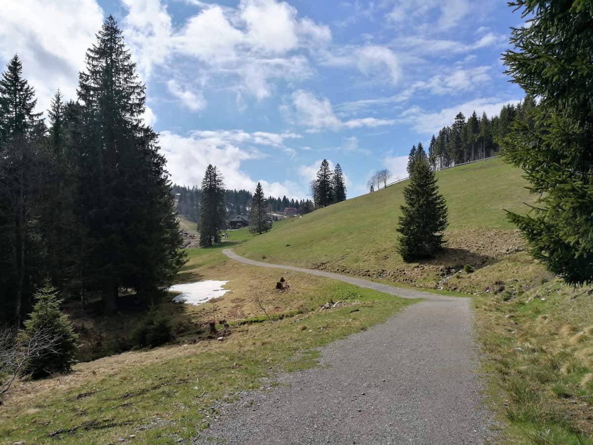 Albsteig Schwarzwald Weitwanderung