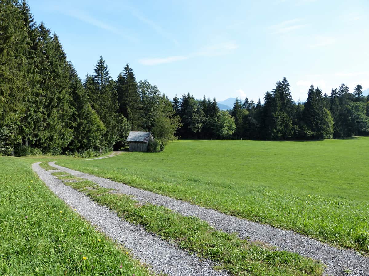 Wasserfallweg Alberschwende