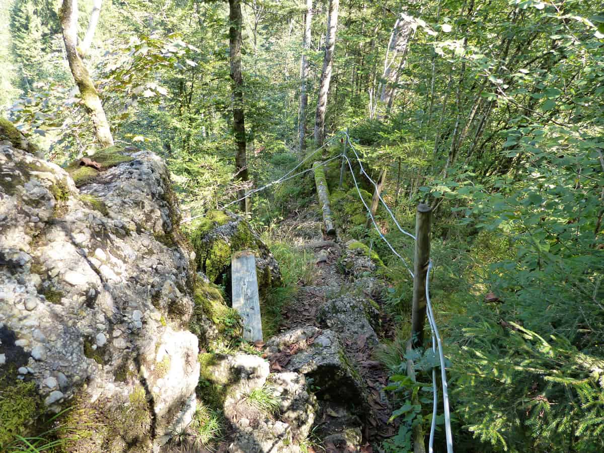Wasserfallweg Alberschwende