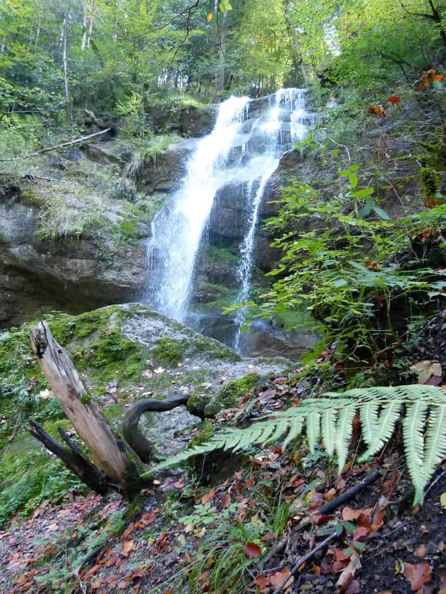 Wasserfallweg Alberschwende