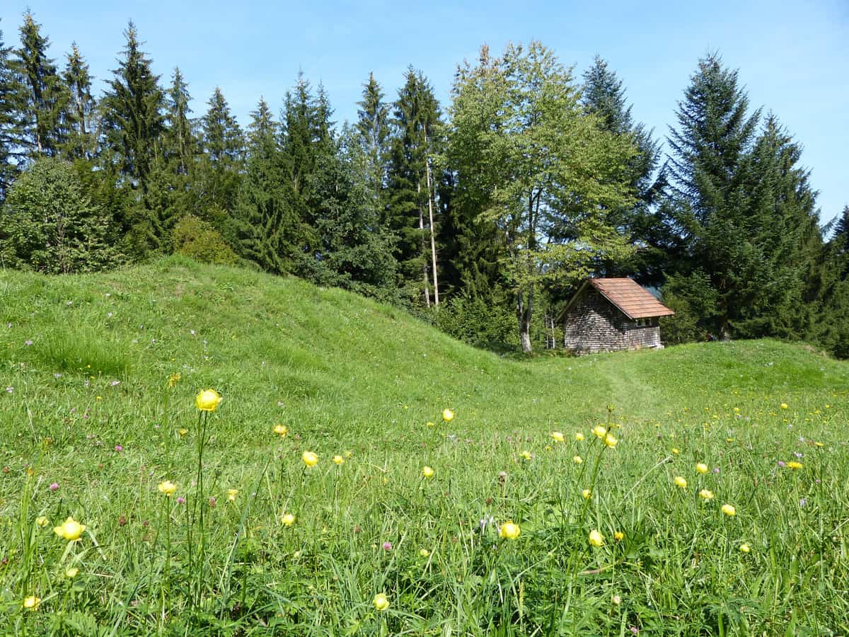 Wasserfallweg Alberschwende