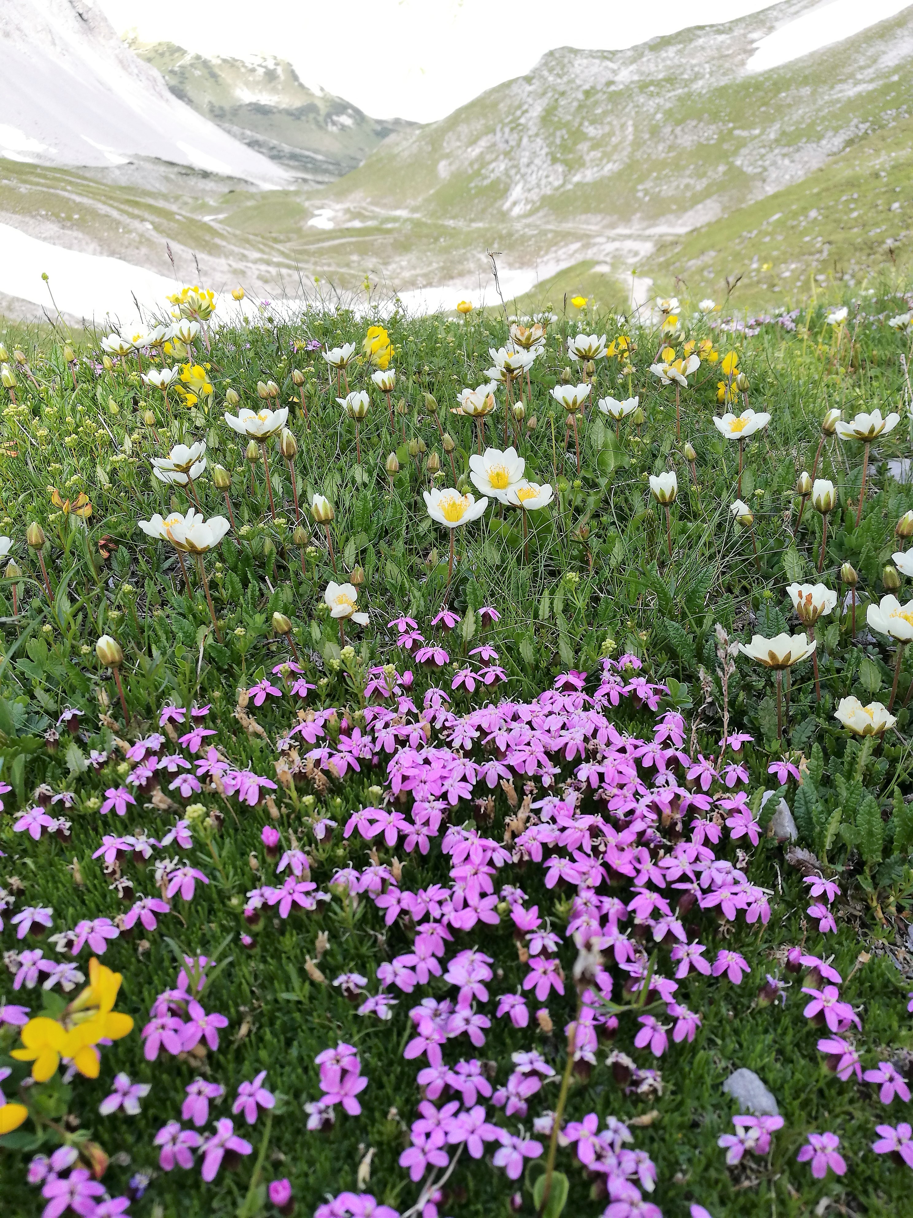 Karwendel Hoehenweg Weitwanderung Tirol