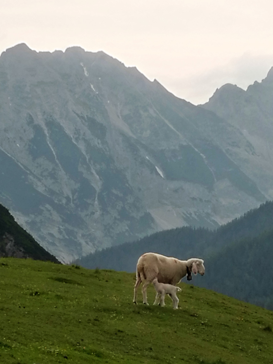 Karwendel Hoehenweg Weitwanderung Tirol