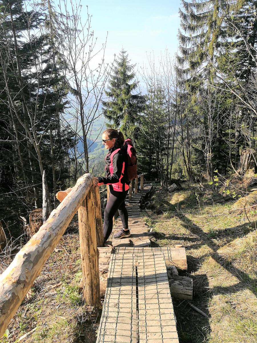 Hohe Kugel Wanderung
