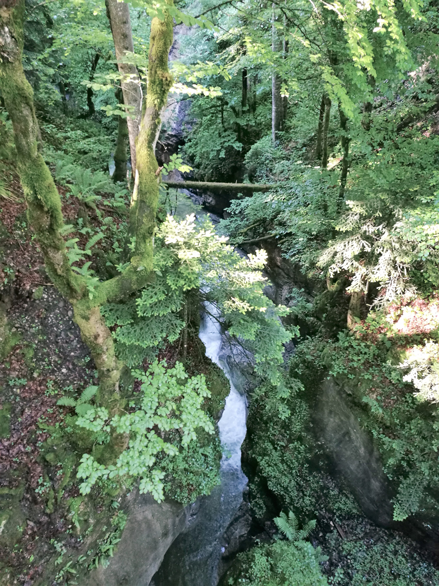 Rappenlochschlucht