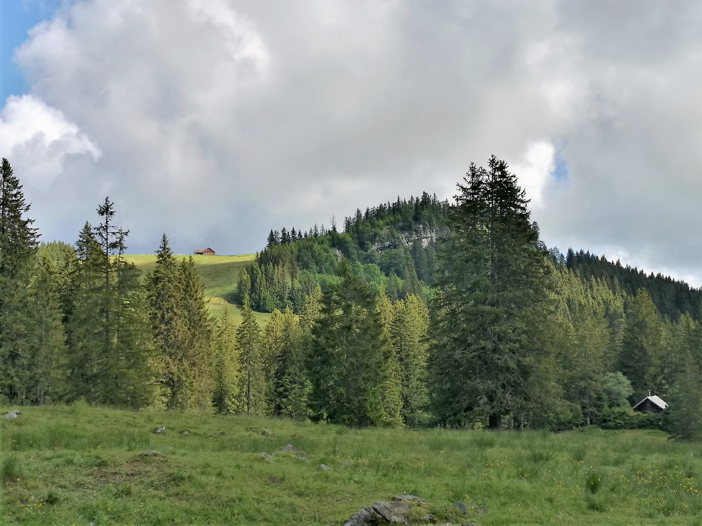 Alpe Weissenfluh Dornbirn E Bike Tour